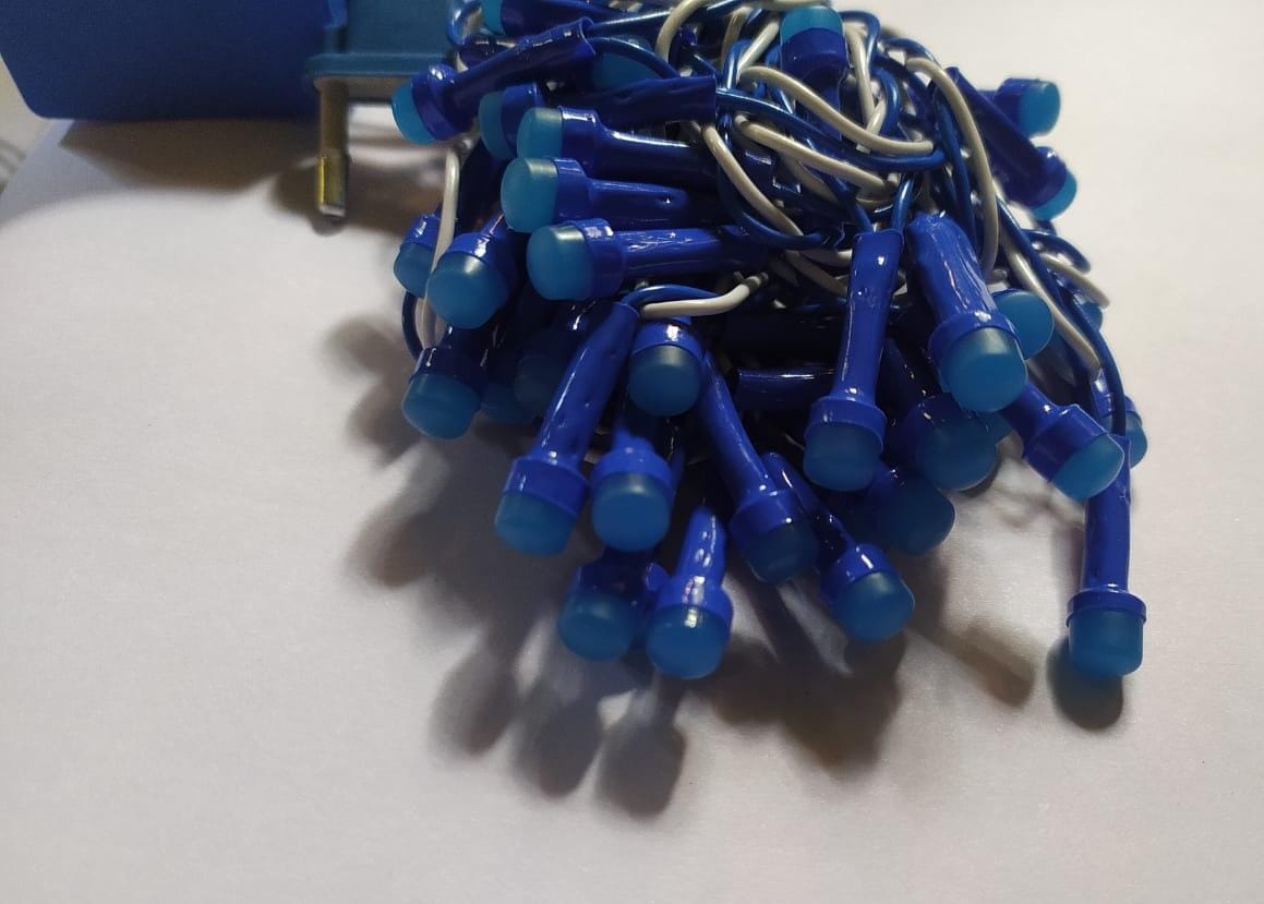 Blue LED Rice (Tuni) Lamp – 40 LEDs | 35 Ft Long Decorative String Light for Home, Festival & Outdoor Décor - Buy Online at Indezaar